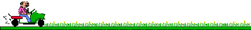 2008421231212371.gif