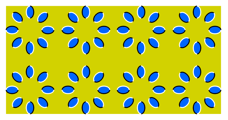 20060508112405.gif
