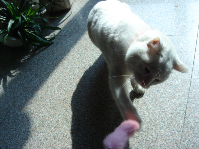DSC03488.JPG