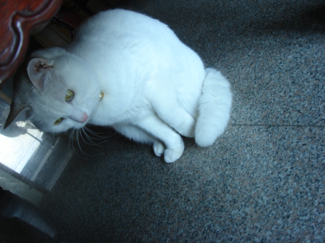 DSC03490.JPG