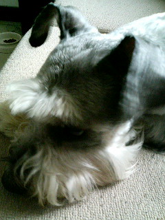 070630_160834.JPG