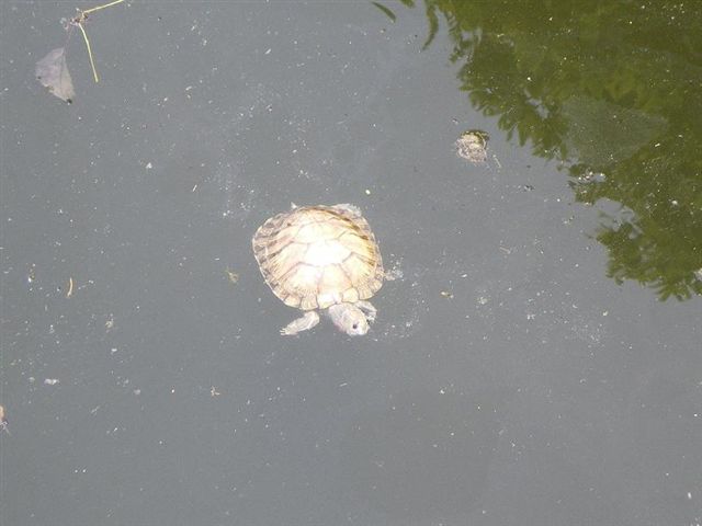 IMGP0627.JPG