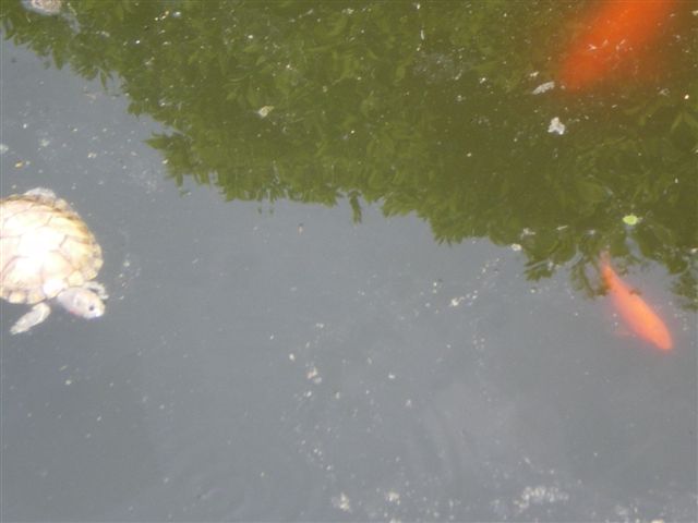 IMGP0628.JPG