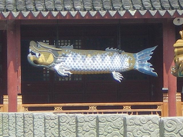 IMGP0634.JPG